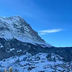 Hotel Jungfrau Lodge, Annex Crystal 3*