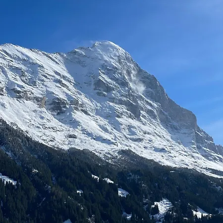 Отель Jungfrau Lodge, Annex Crystal