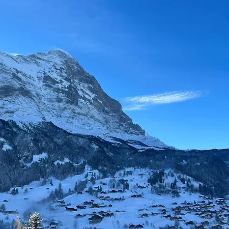 Hotel Jungfrau Lodge, Annex Crystal 3*